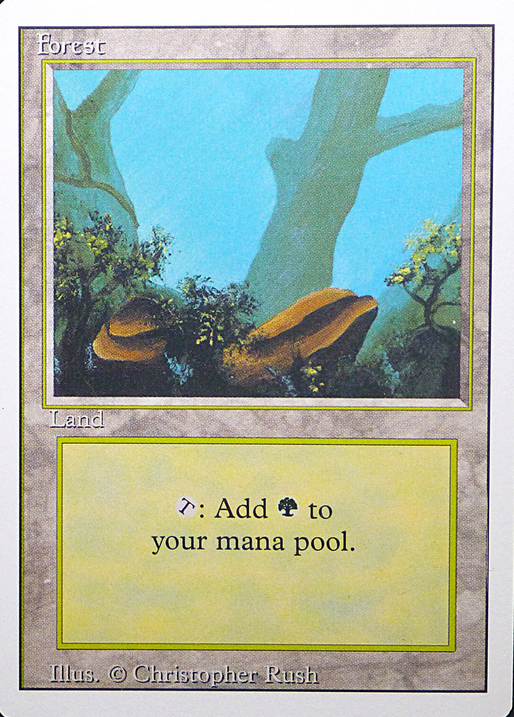 Magic the Gathering: Revised/3rd Edition

Forest - Revised - Common - 304