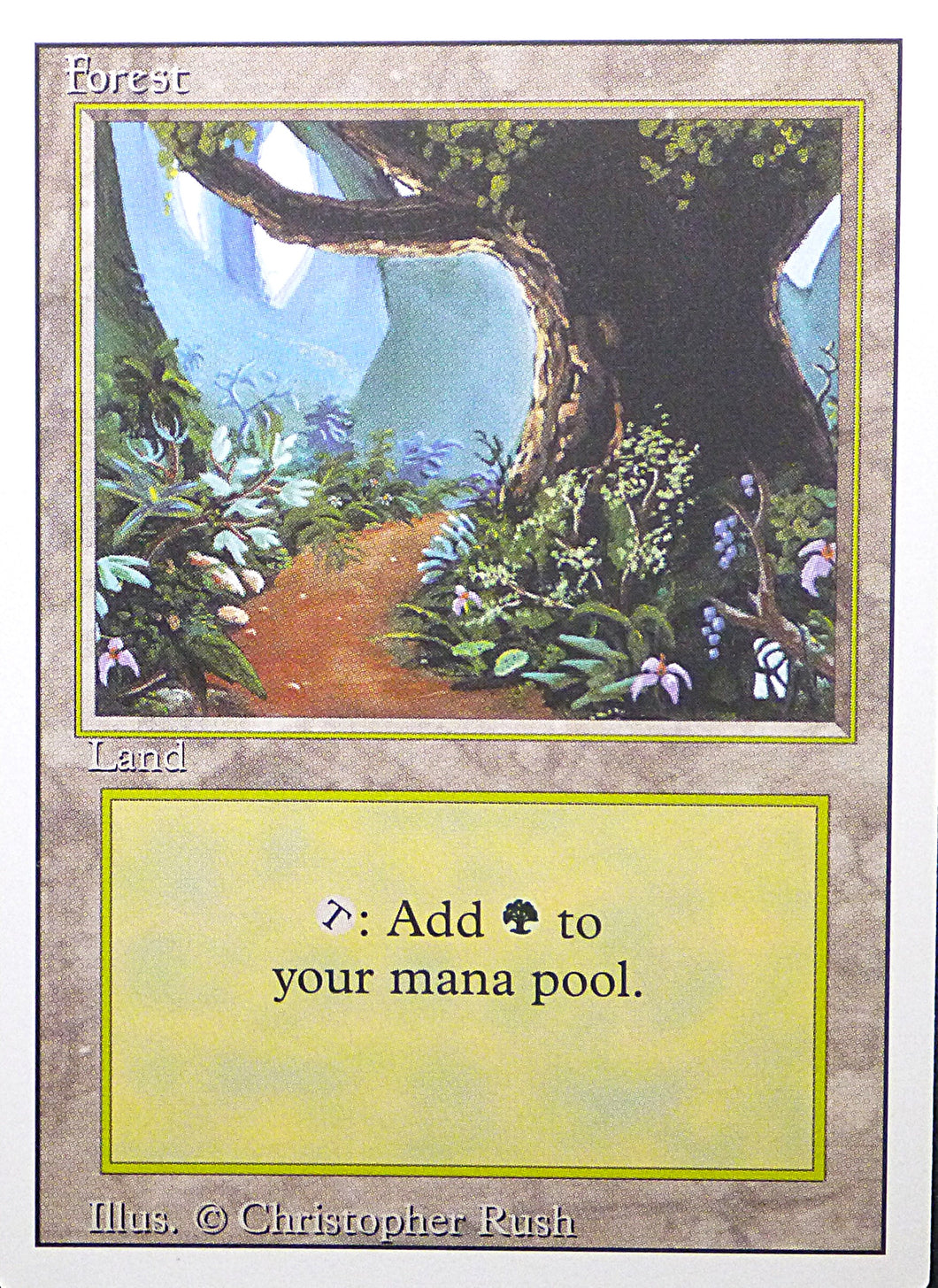 Magic the Gathering: Revised/3rd Edition

Forest - Revised - Common - 305