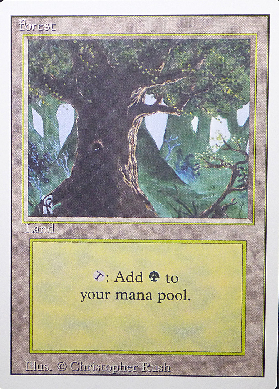 Forest L306 (Revised/3rd Edition)