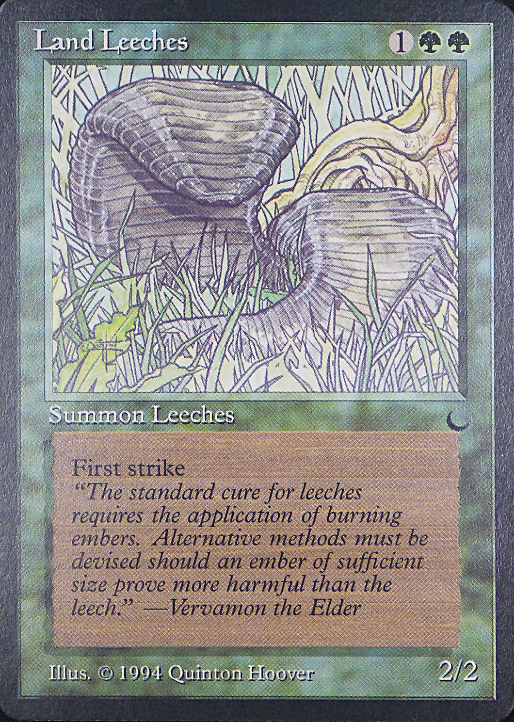 Magic the Gathering: The Dark

Land Leeches The Dark C0079