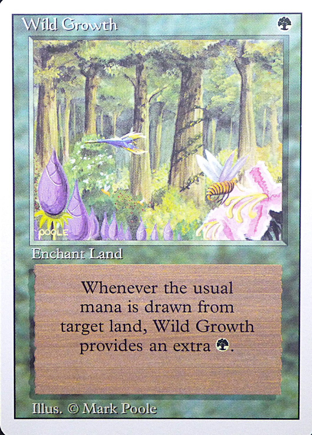 Magic the Gathering: Revised/3rd Edition
Wild Growth - Revised - Common - 230