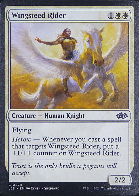 Magic the Gathering: Foundations Jumpstart

Windsteed Rider J25 C0279
